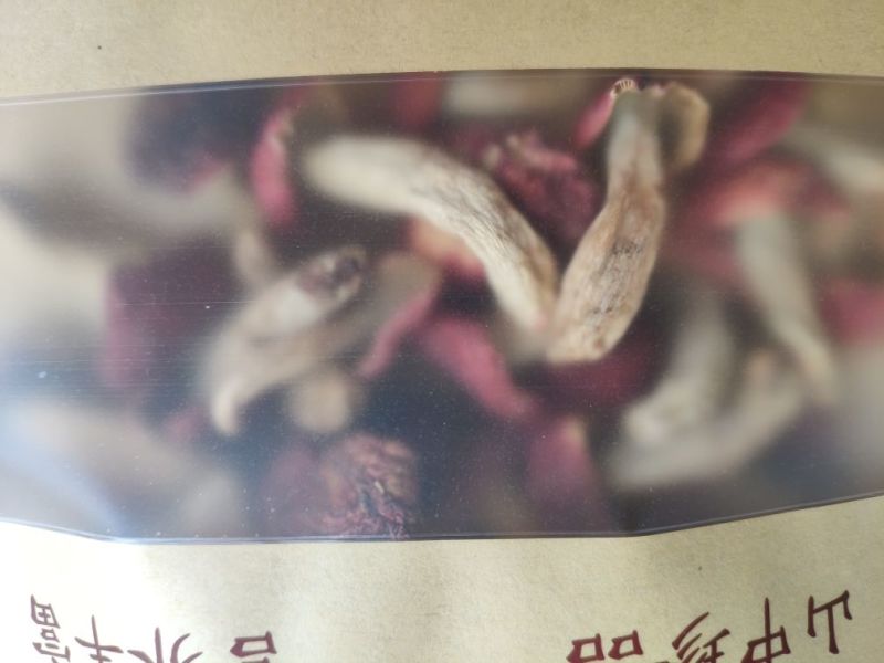 红菇