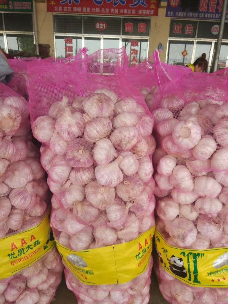 大蒜、蒜米料、蒜米电商供应，优质红皮大蒜，天天有货。