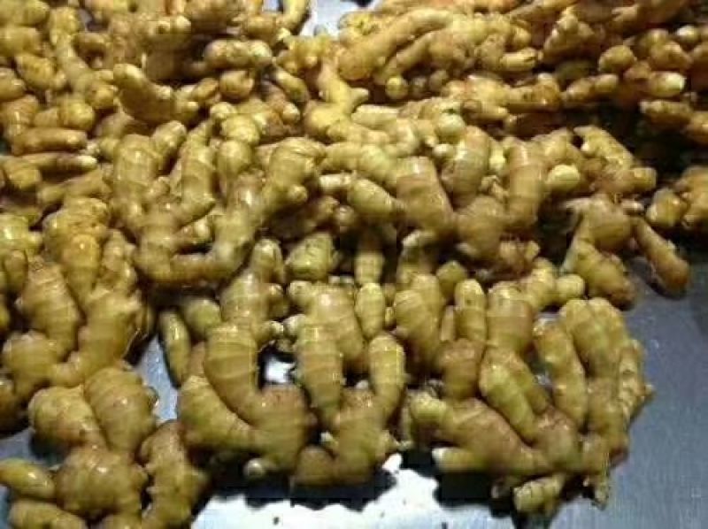 【拼实力】，精品黄姜产地一手货源货源充足！质量始终如一！