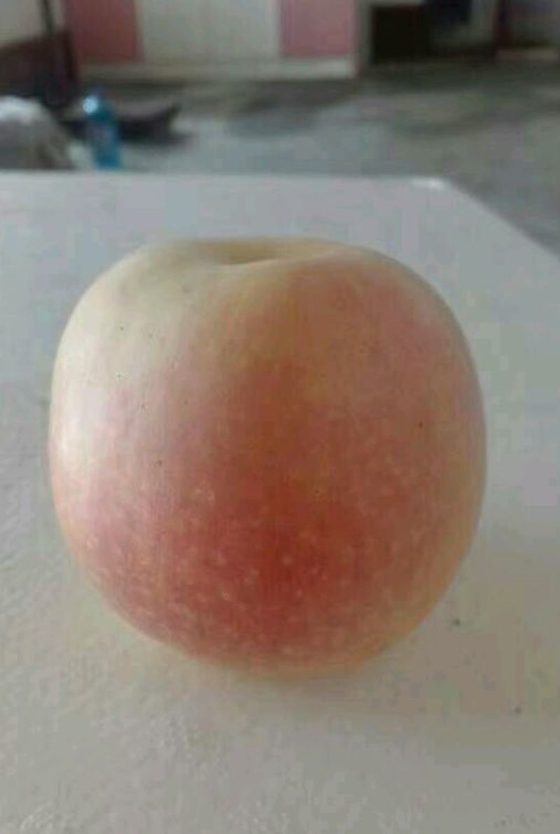 嘎啦苹果60mm以上膜袋