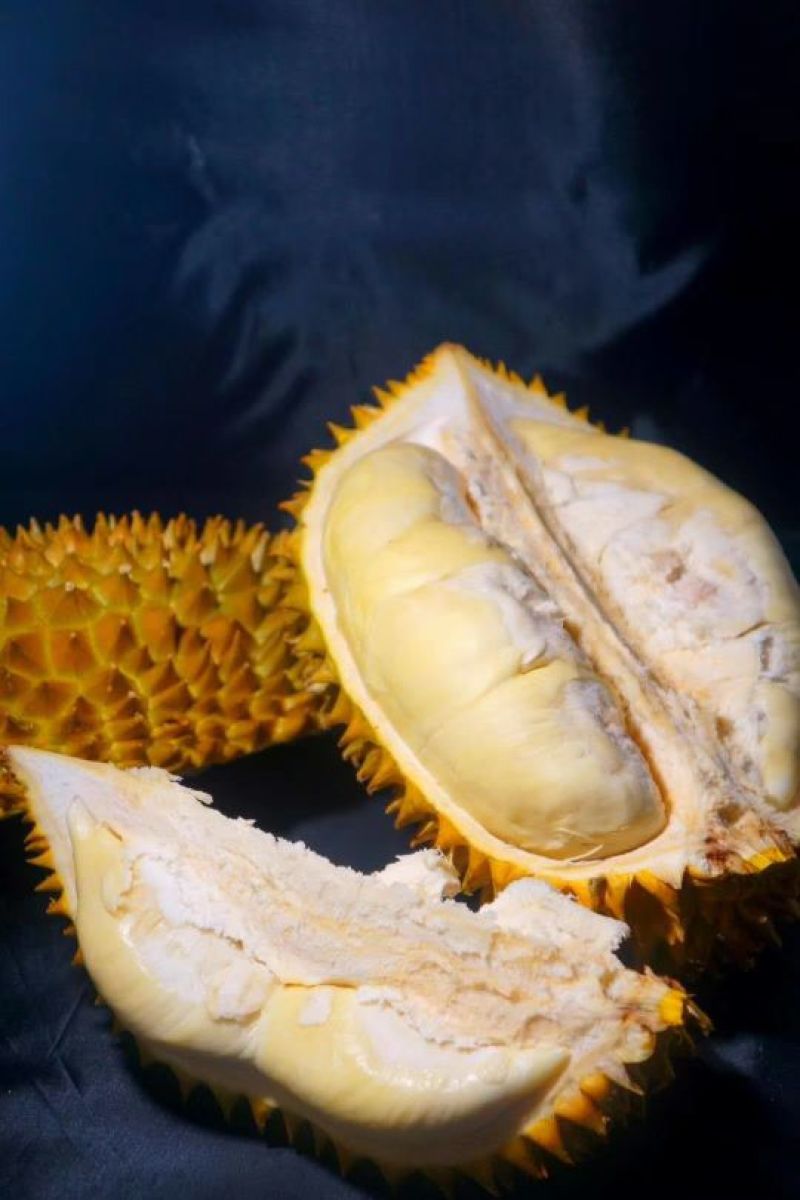 泰国金枕榴莲A级果