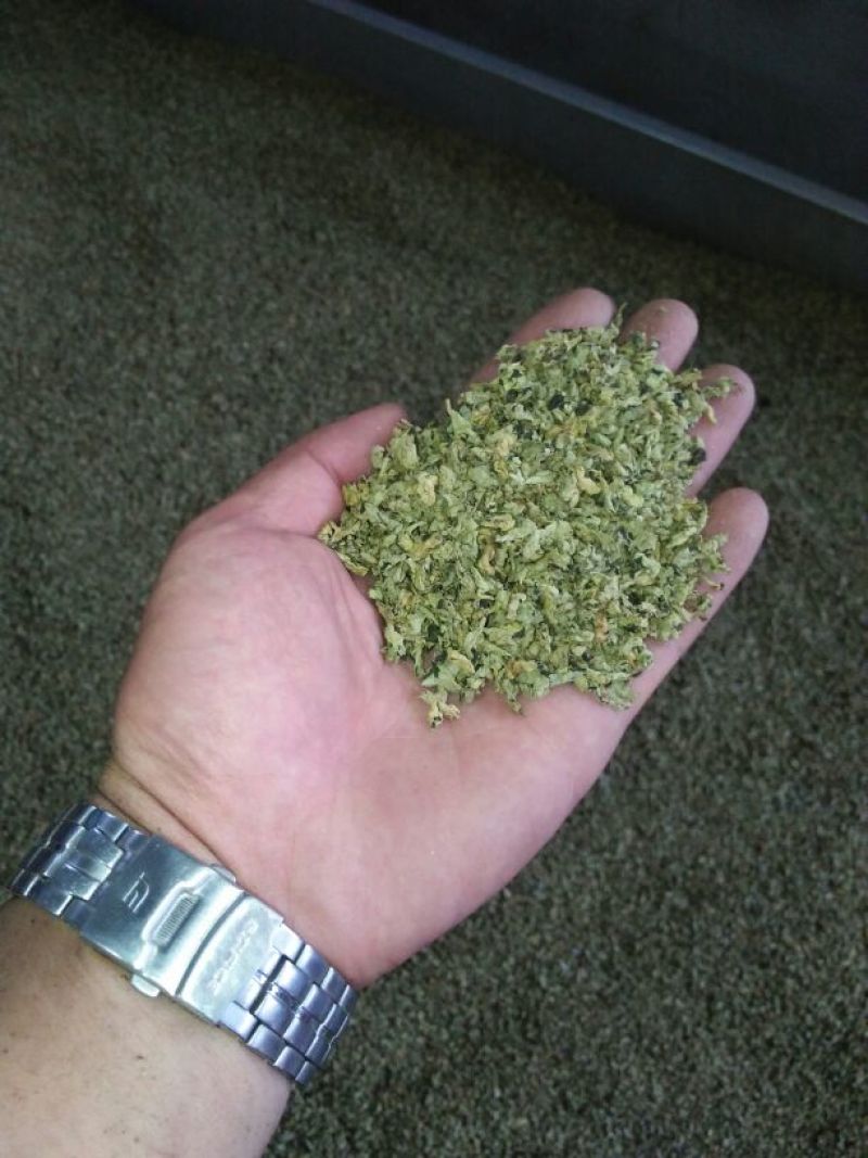 荷叶20cm以下选货
