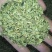 荷叶20cm以下选货