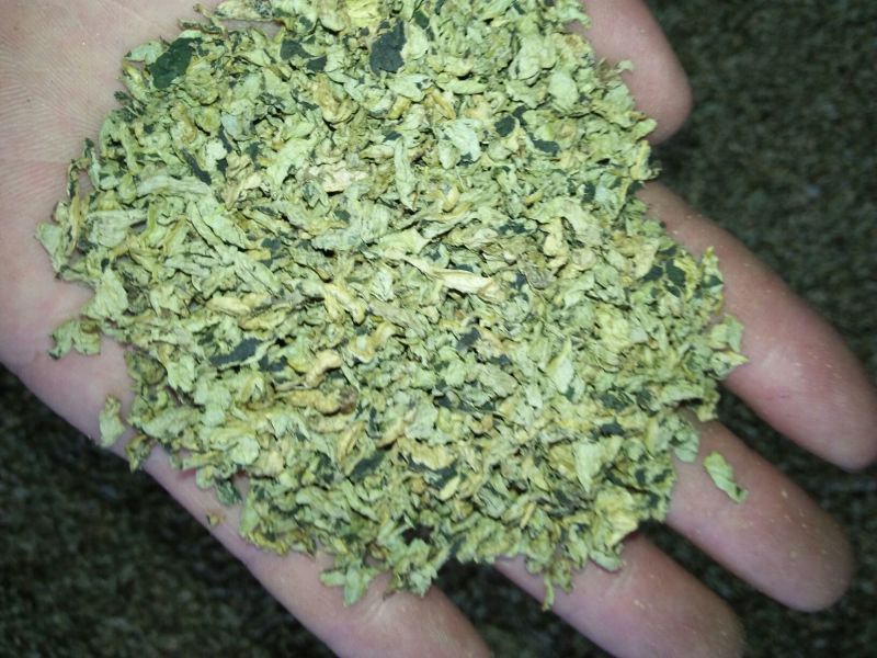 荷叶20cm以下选货