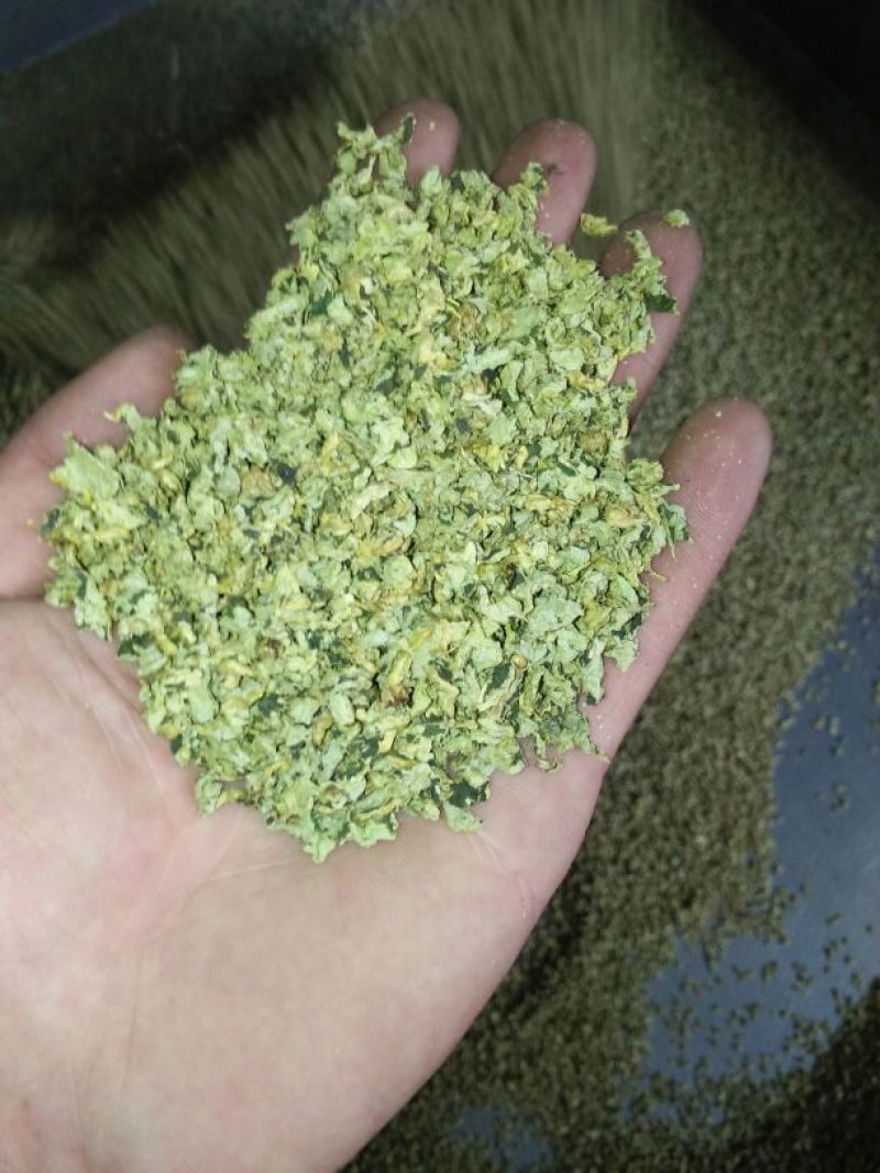 荷叶20cm以下选货