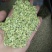荷叶20cm以下选货