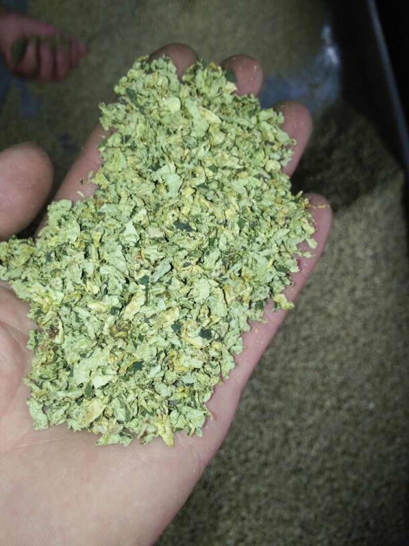荷叶20cm以下选货