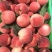 八号红桃