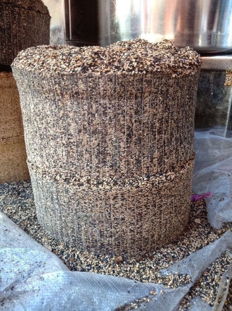 花生粕——芝