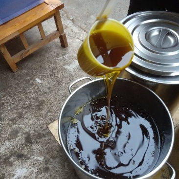 纯菜籽油
