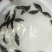 桂鱼苗优质鳜鱼苗桂鱼苗批发，桂花鱼苗