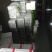 精品苦菊供应全国
