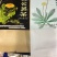蒲公英根