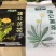 蒲公英根