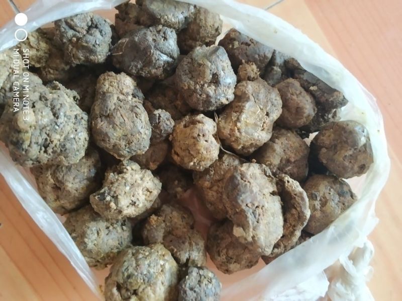 优质蜂胶原胶