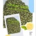 荷叶茶（一手货源厂家直供量大价优）