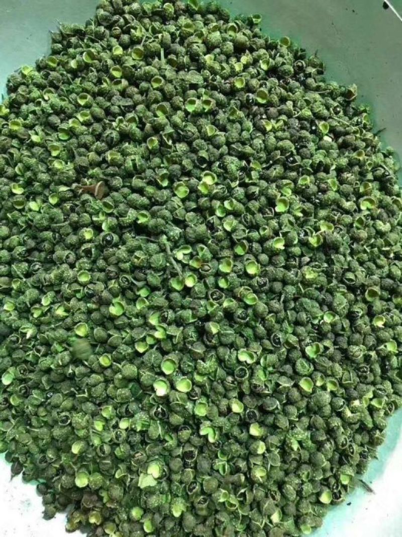 山亭精品花椒，颜色好，颗粒大