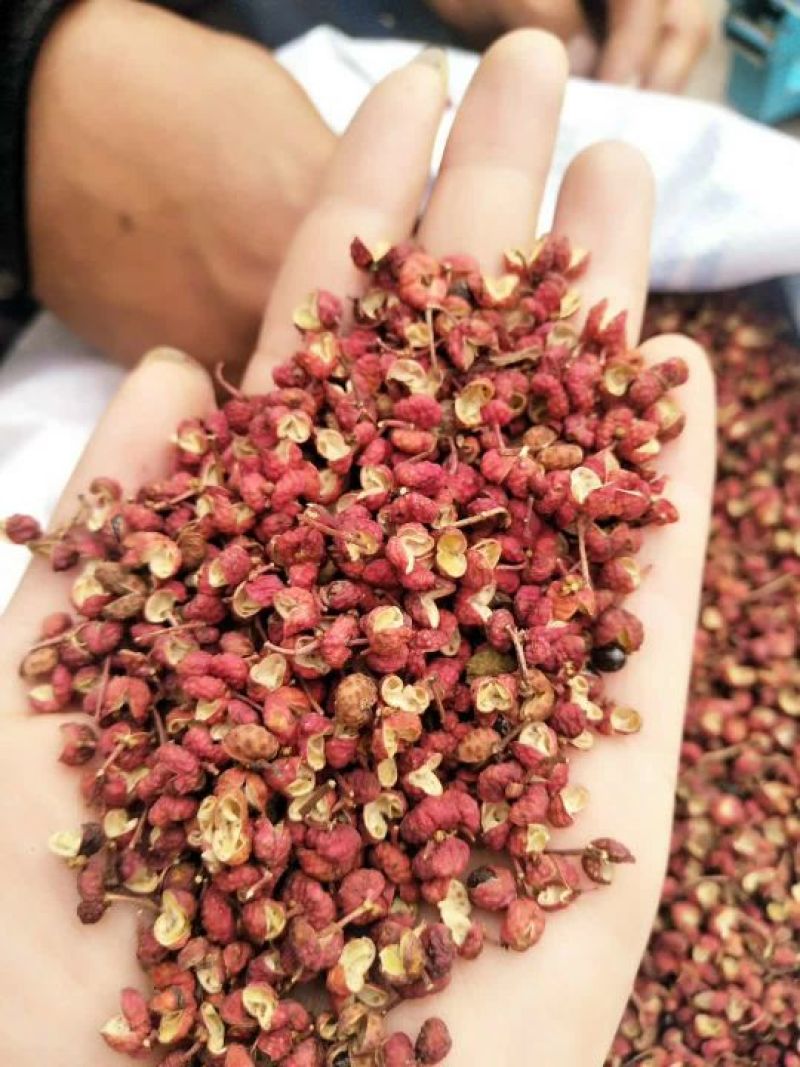 山亭精品花椒，颜色好，颗粒大