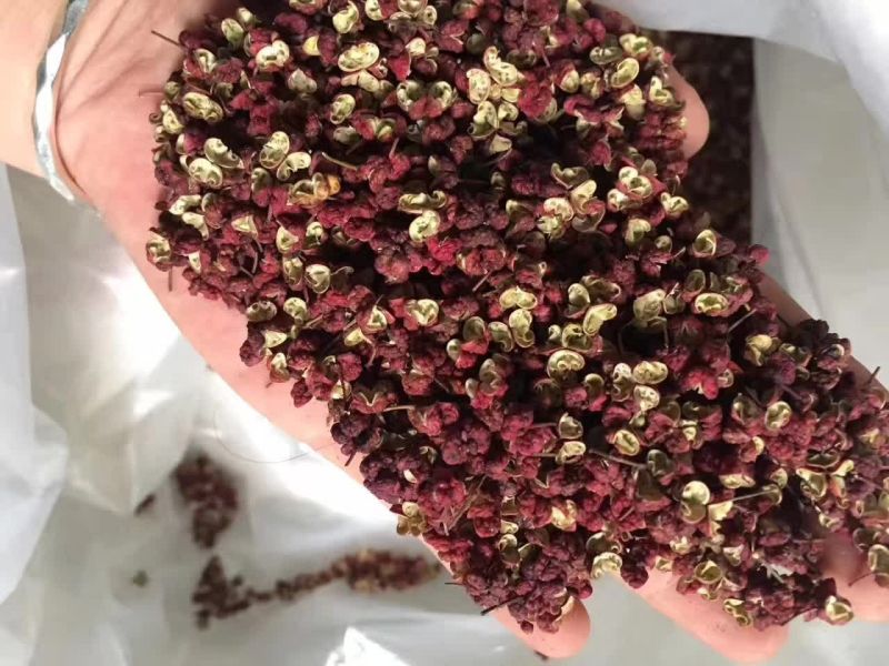 山亭精品花椒，颜色好，颗粒大
