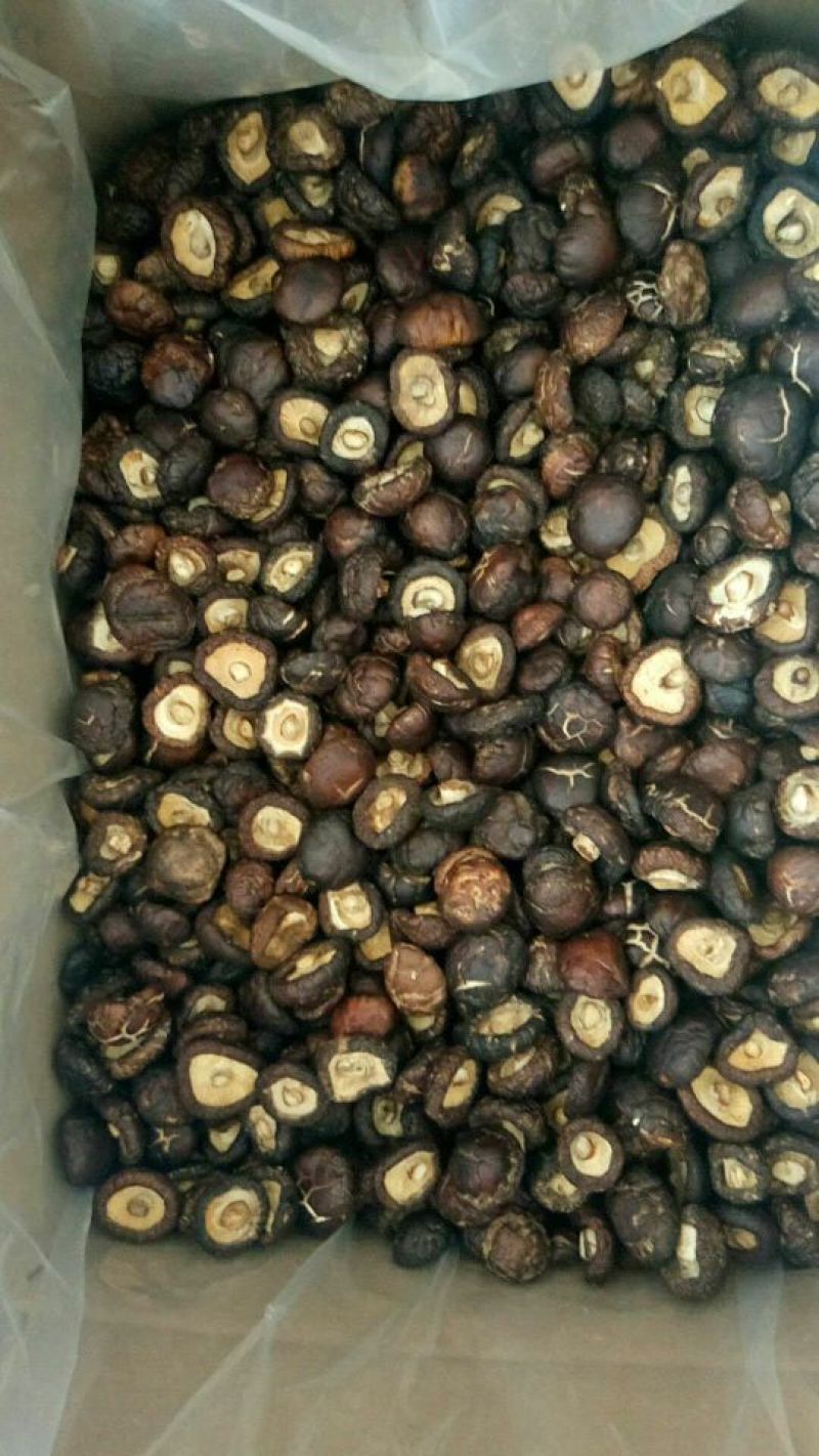 山亭精品花椒，颜色好，颗粒大