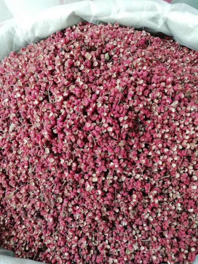 山亭精品花椒，颜色好，颗粒大