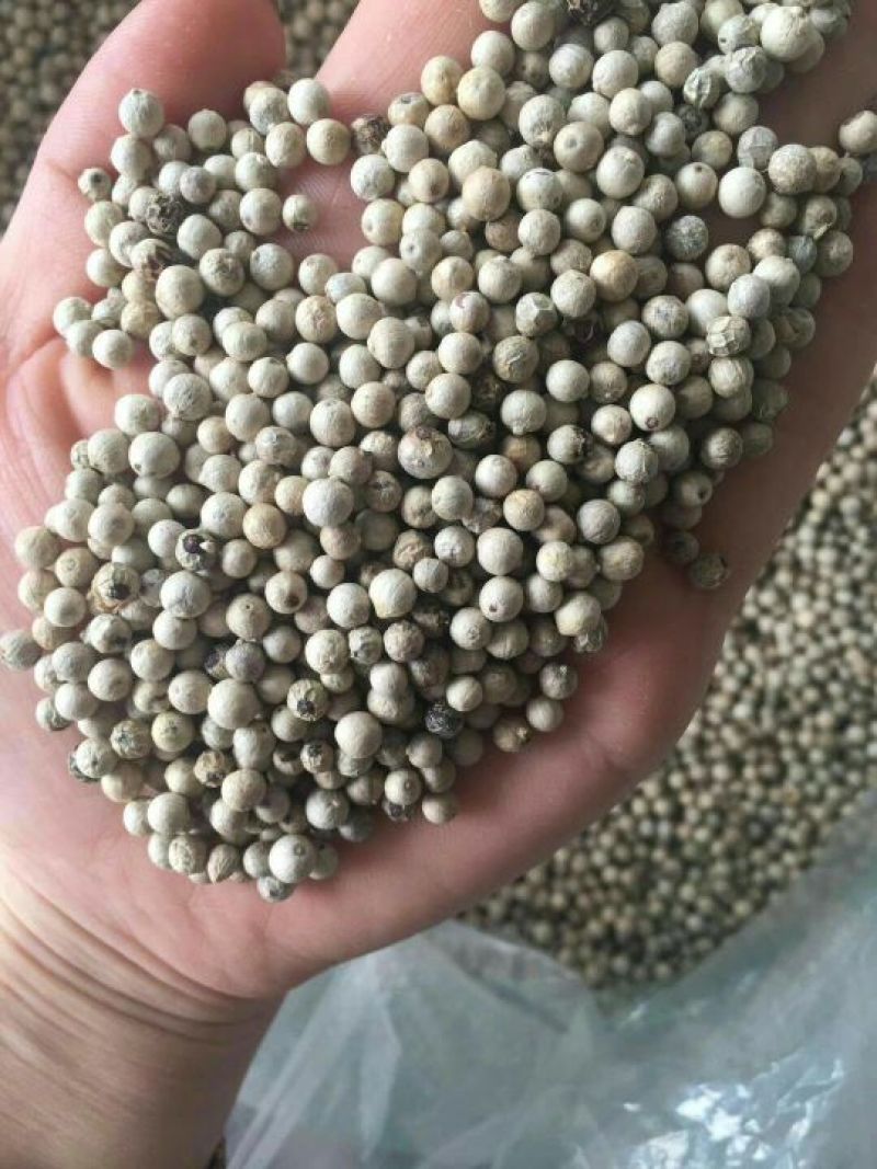 山亭精品花椒，颜色好，颗粒大
