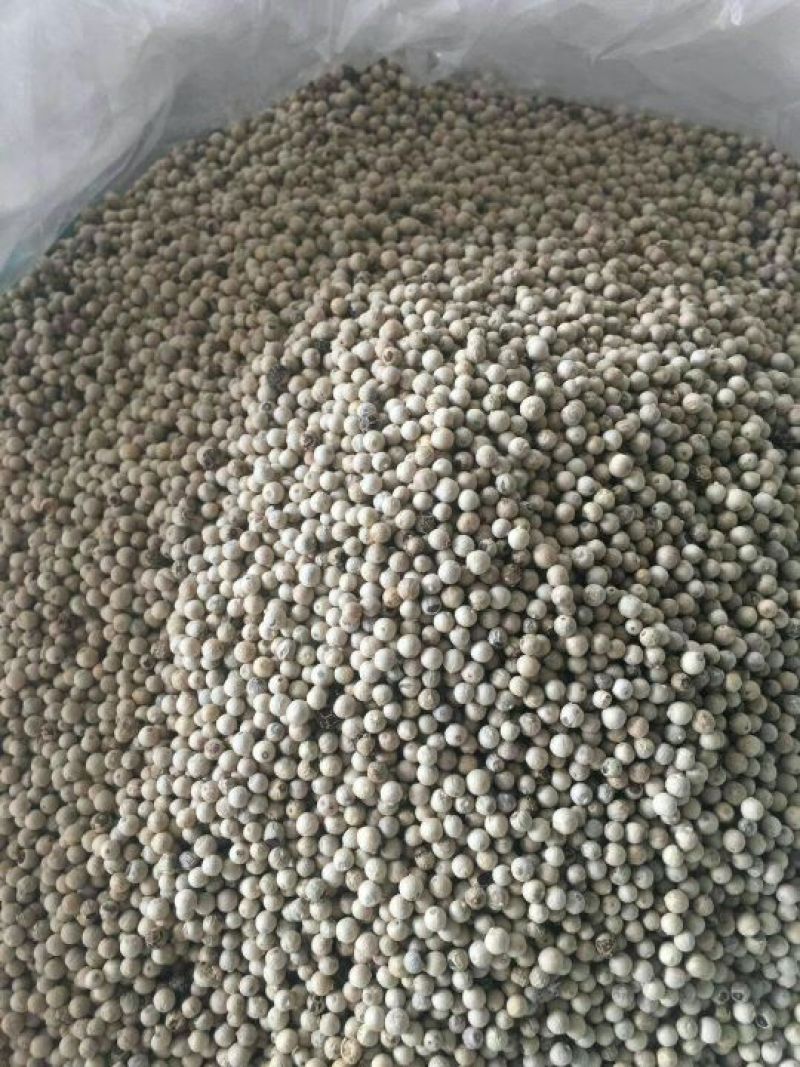 山亭精品花椒，颜色好，颗粒大
