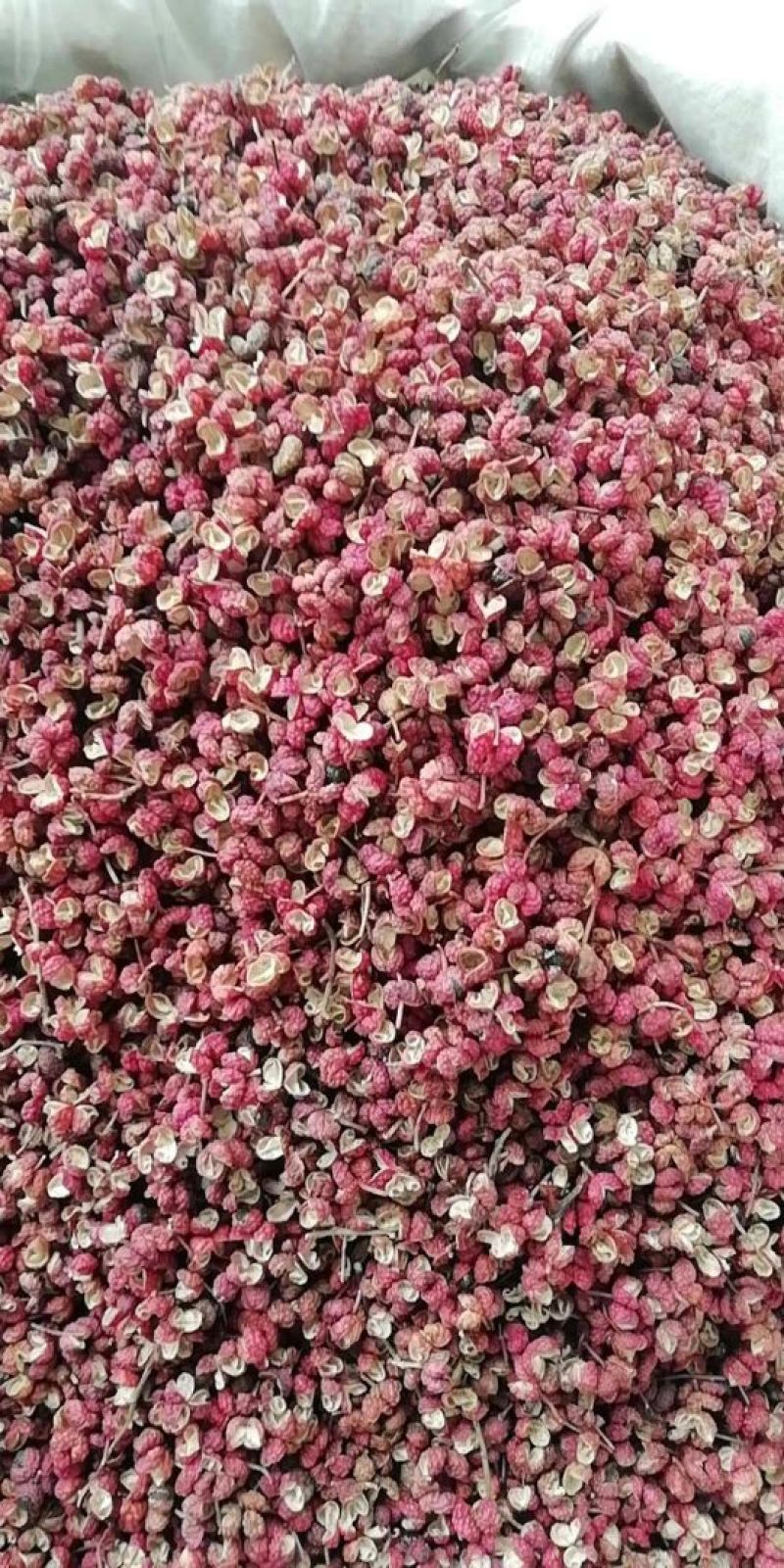 山亭精品花椒，颜色好，颗粒大