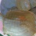 5年外塘冷水黄河鳖精品，不买您后悔