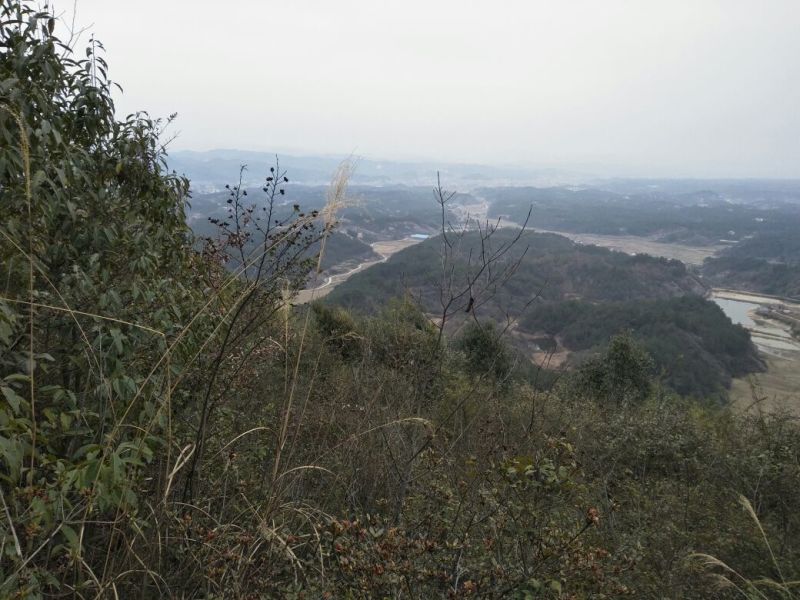 工厂、种植、养殖、家居用地租，售