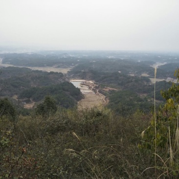 工厂、种植、养殖、家居用地租，售