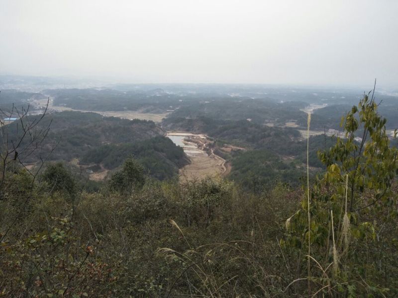 工厂、种植、养殖、家居用地租，售