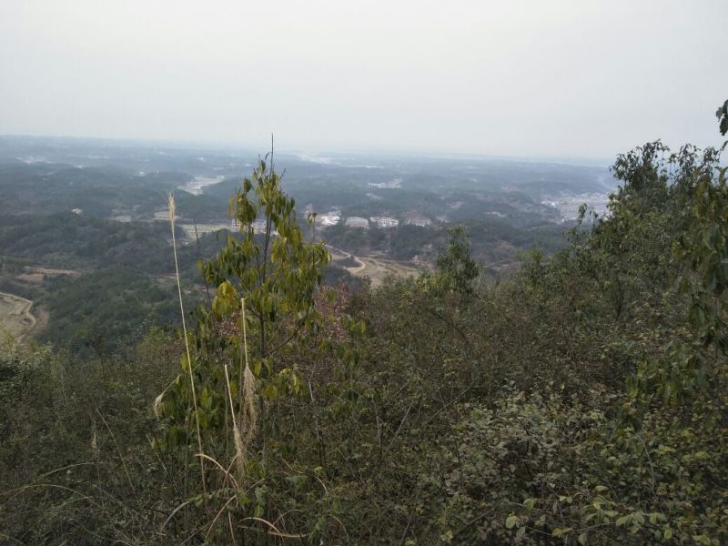工厂、种植、养殖、家居用地租，售