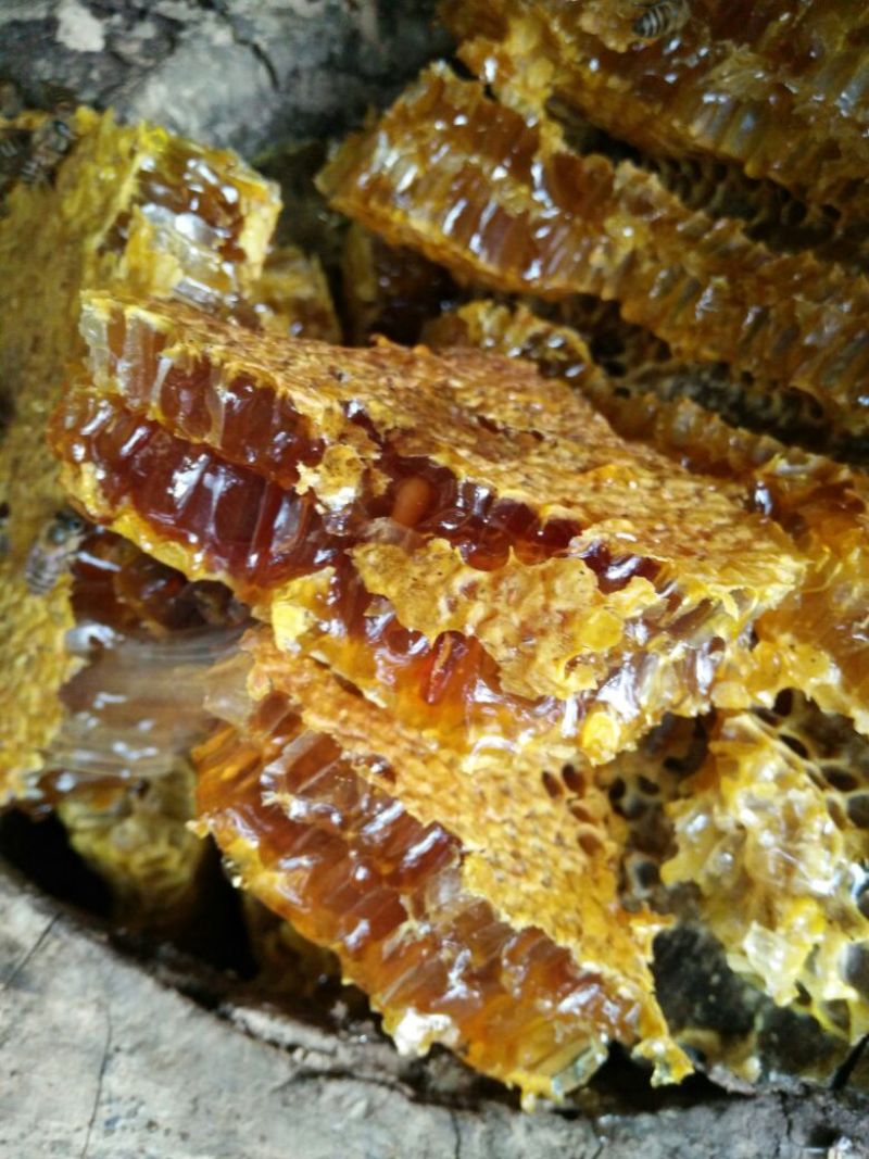 土蜂蜜瑶山里的深山密