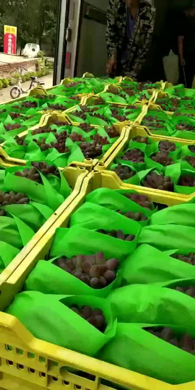 无纺布葡萄袋，无纺布包装袋