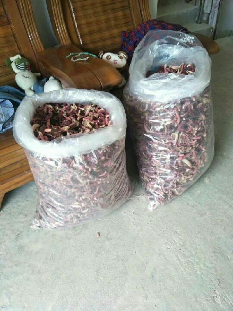 干红菇。有老板需要么？