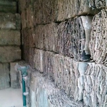 杜仲板皮统货