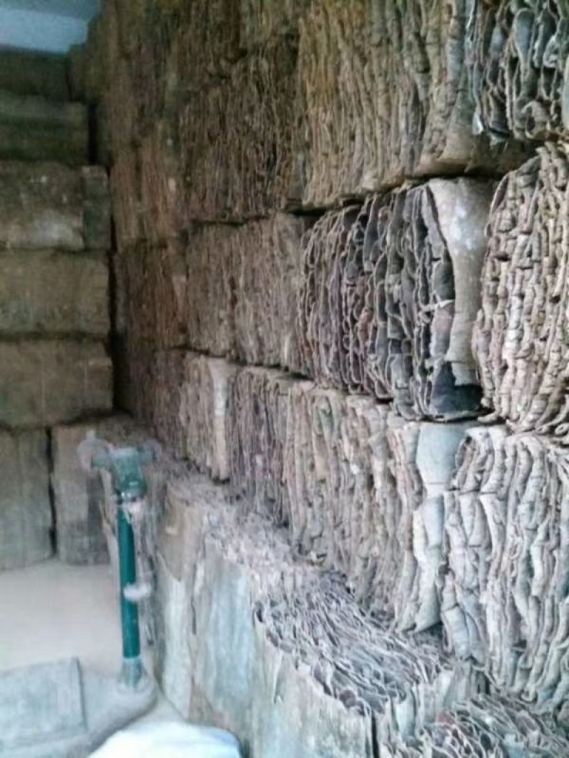 杜仲板皮统货