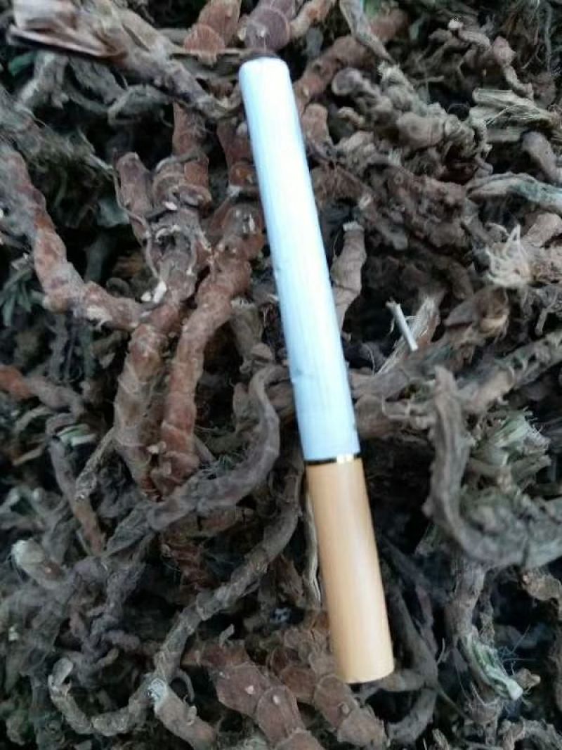 大量出售石昌蒲20吨现货