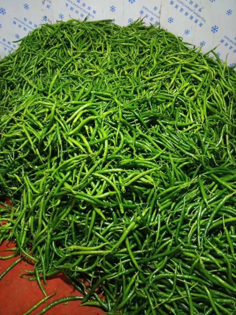 芜湖椒