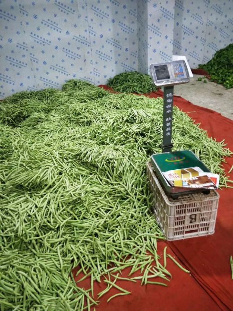芜湖椒