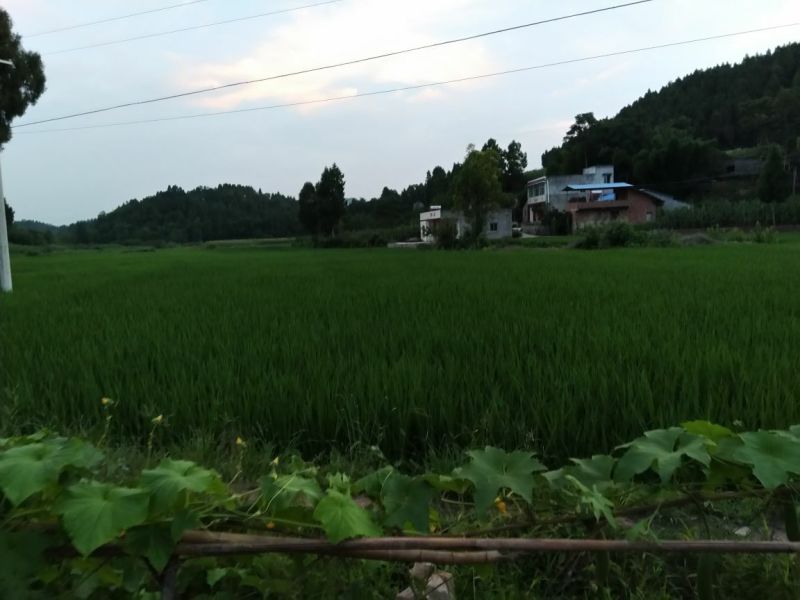 土地出租流转
