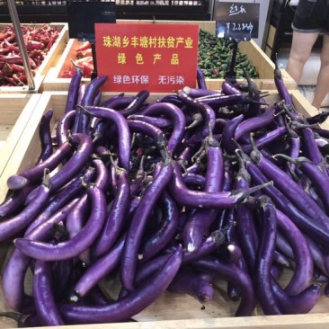 紫红长茄2两以上