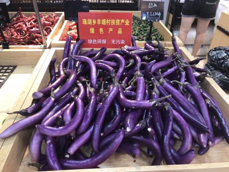 紫红长茄2两以上