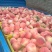 水蜜桃75mm以上