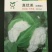 甘蓝种子