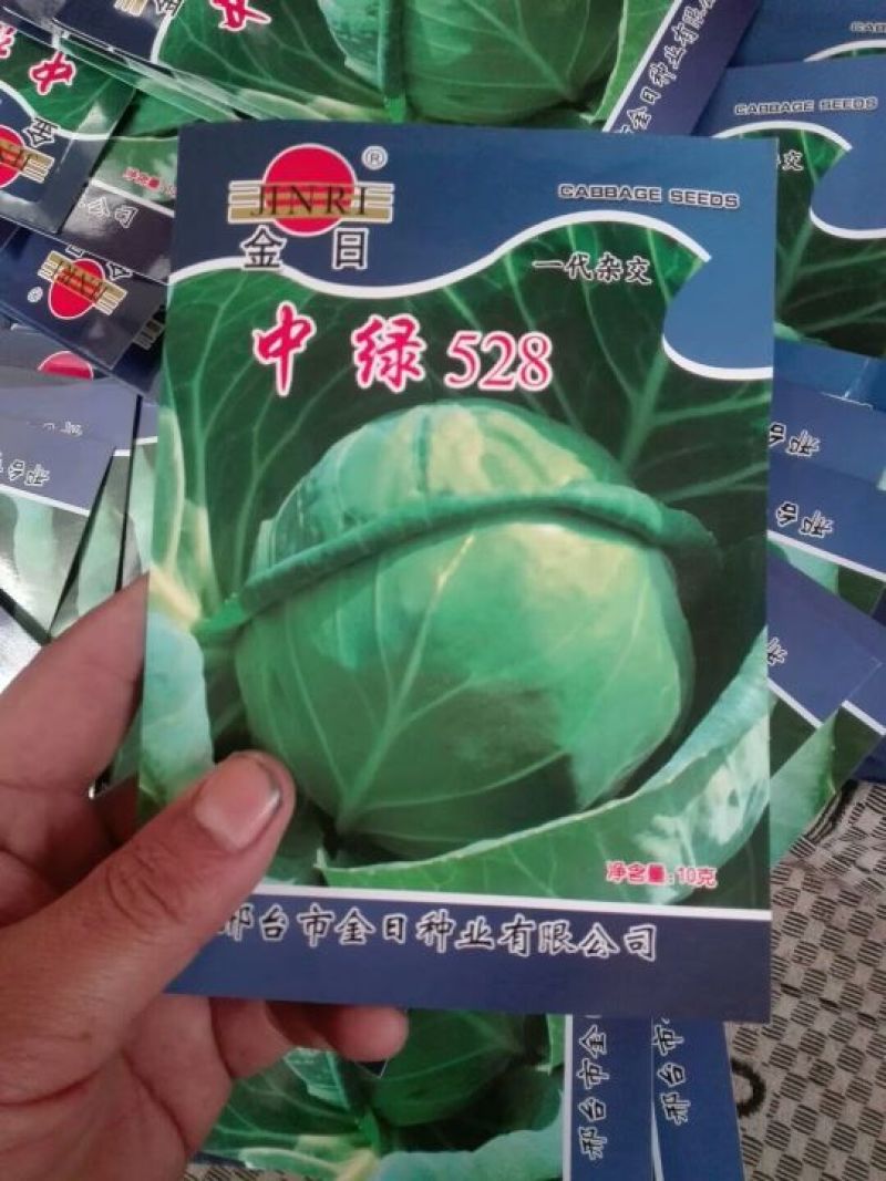 甘蓝种子