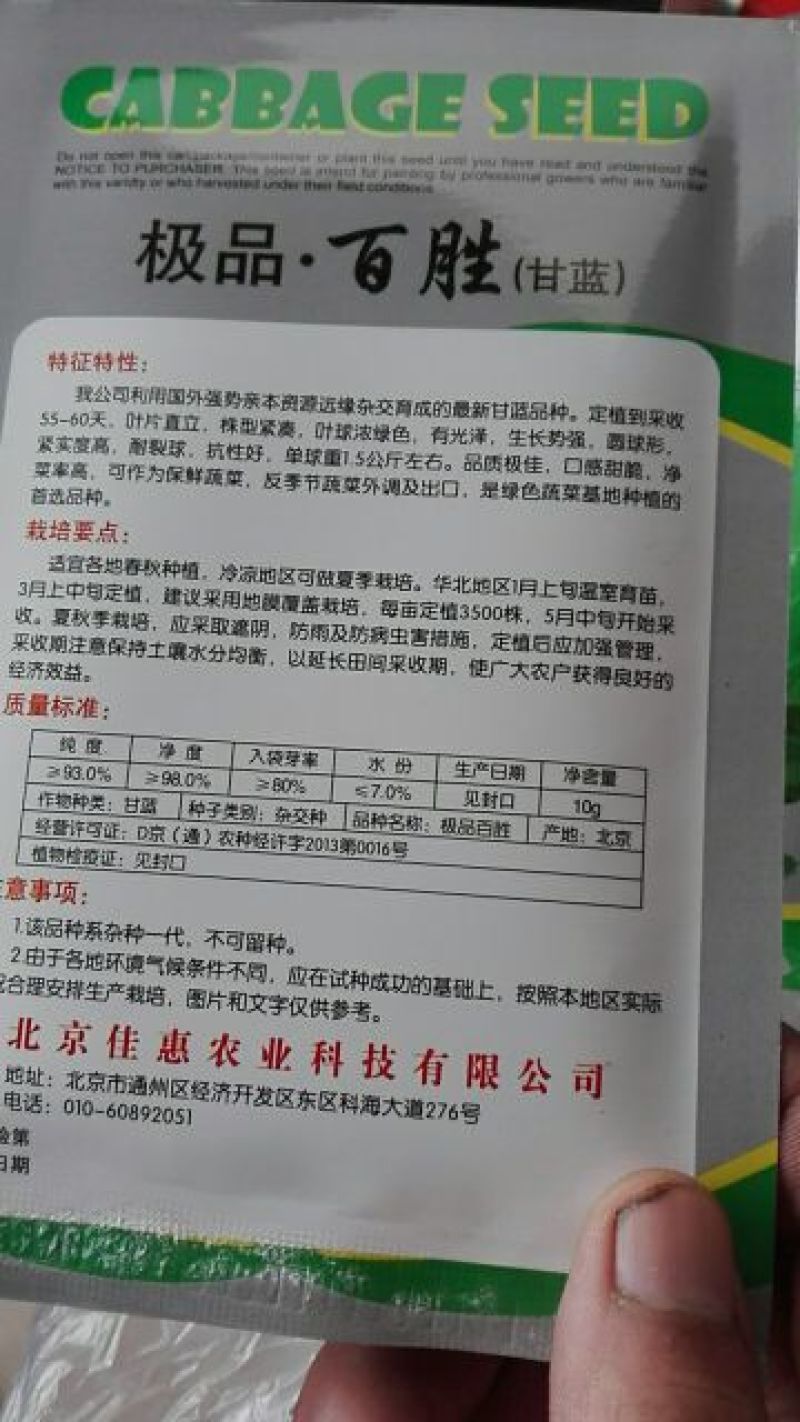 甘蓝种子