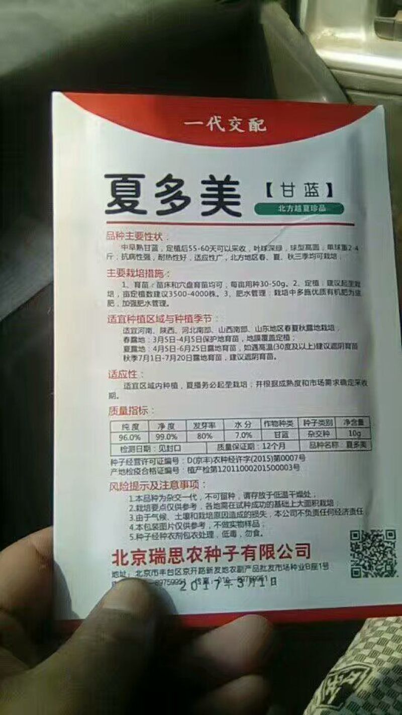 甘蓝种子