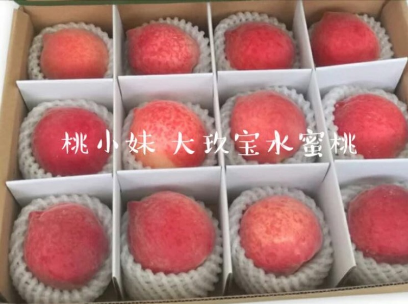 大久保75mm以上
